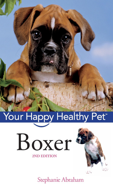 Boxer Boxer