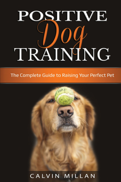 Positive Dog Training Positive Dog Training