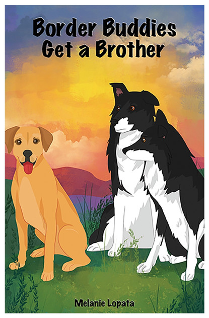 Border Buddies Get a Brother Border Buddies Get a Brother