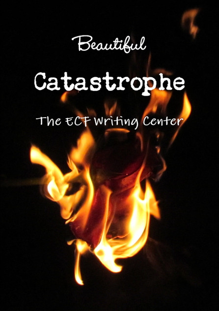 Beautiful Catastrophe Beautiful Catastrophe