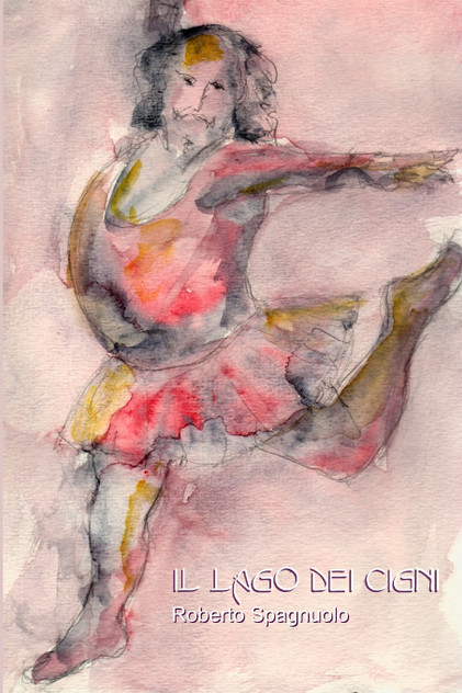 Il lago dei cigni