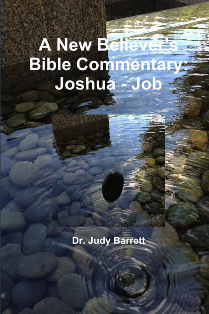 A New Believer's Bible Commentary A New Believer's Bible Commentary