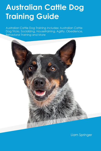 Australian Cattle Dog Training Guide Australian Cattle Dog Training Includes Australian Cattle Dog Training Guide Australian Cattle Dog Training Includes