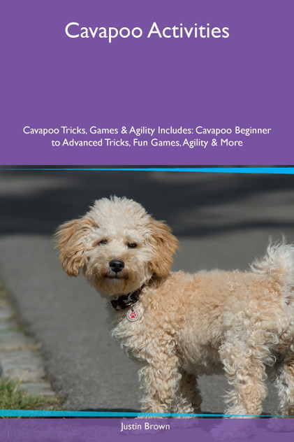 Cavapoo Activities Cavapoo Tricks, Games & Agility Includes Cavapoo Activities Cavapoo Tricks, Games & Agility Includes