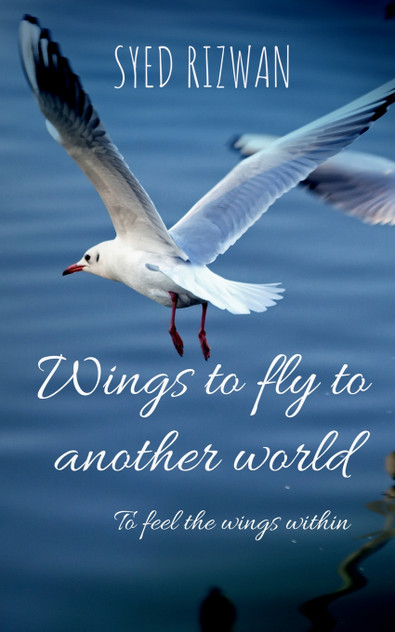 Wings to fly to another world