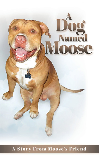 A Dog named Moose A Dog named Moose
