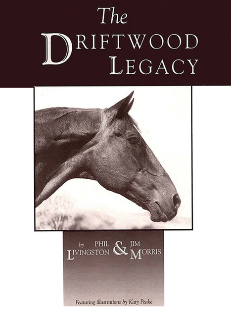 Driftwood Legacy Driftwood Legacy