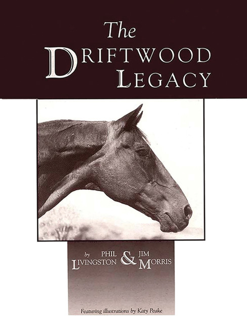 The Driftwood Legacy The Driftwood Legacy
