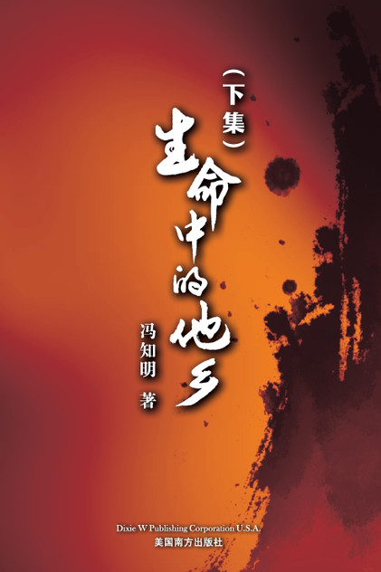 生命中的他乡 (下卷) 生命中的他乡 (下卷)