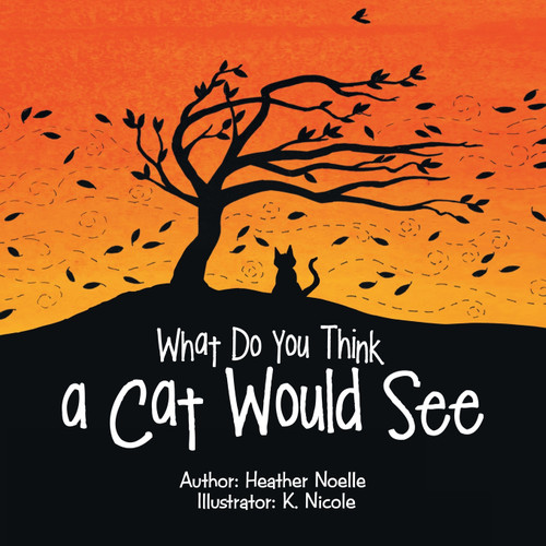What Do You Think a Cat Would See What Do You Think a Cat Would See