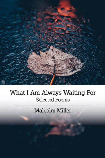 What I Am Always Waiting For What I Am Always Waiting For