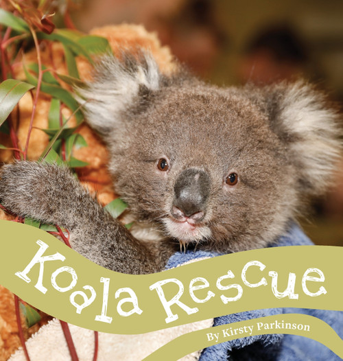 Koala Rescue Koala Rescue
