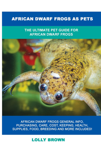 African Dwarf Frogs as Pets African Dwarf Frogs as Pets