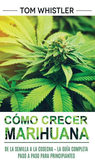 Cómo crecer marihuana Cómo crecer marihuana