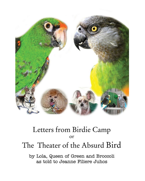 Letters from Birdie Camp Letters from Birdie Camp
