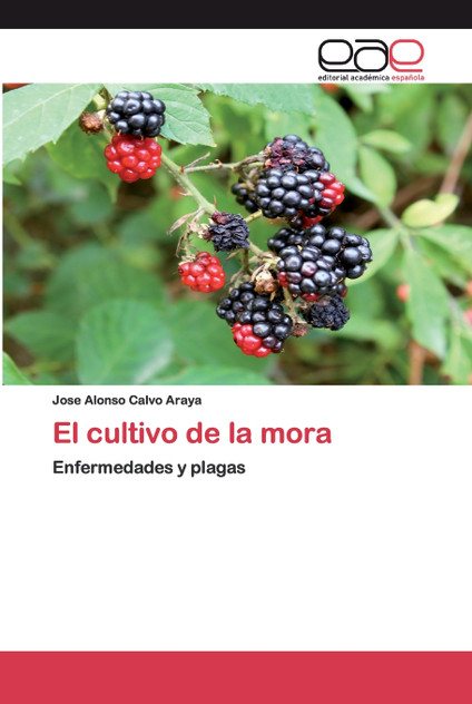 El cultivo de la mora El cultivo de la mora