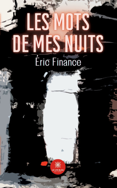Les mots de mes nuits