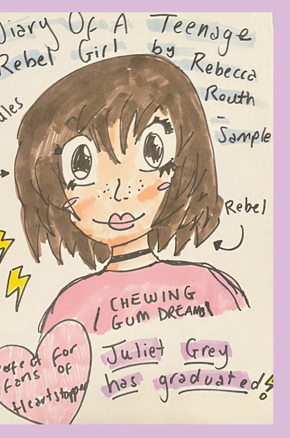 Diary Of A Teenage Rebel Girl Diary Of A Teenage Rebel Girl