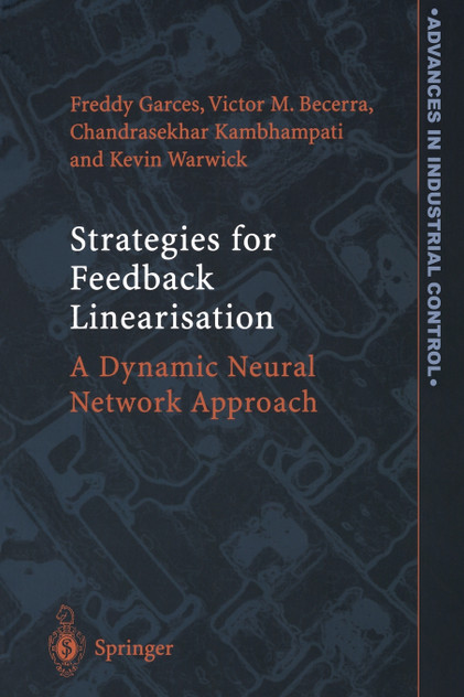 Strategies for Feedback Linearisation