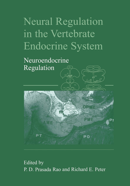 Neural Regulation in the Vertebrate Endocrine System Neural Regulation in the Vertebrate Endocrine System