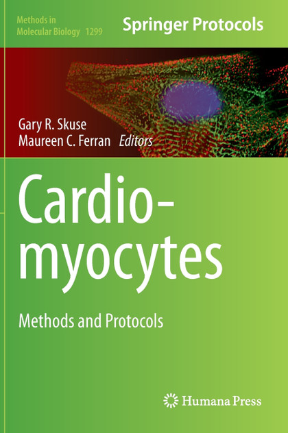Cardiomyocytes Cardiomyocytes