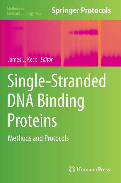 Single-Stranded DNA Binding Proteins Single-Stranded DNA Binding Proteins