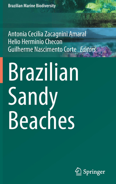 Brazilian Sandy Beaches Brazilian Sandy Beaches