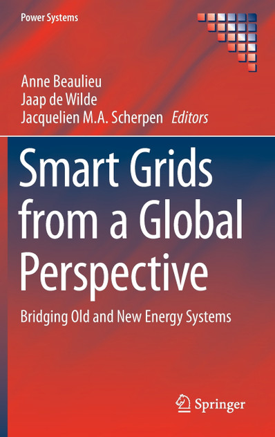 Smart Grids from a Global Perspective