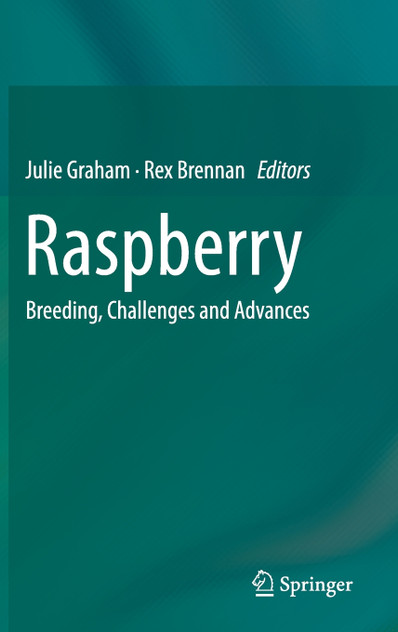 Raspberry Raspberry