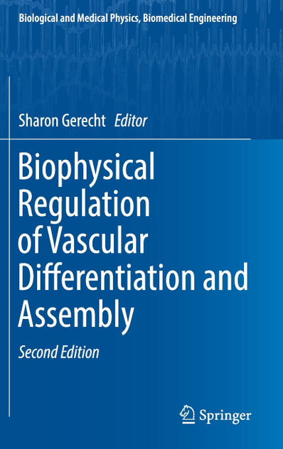 Biophysical Regulation of Vascular Differentiation and Assembly