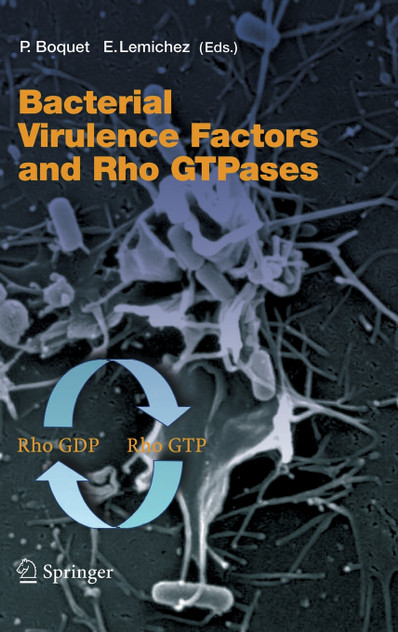 Bacterial Virulence Factors and Rho Gtpases Bacterial Virulence Factors and Rho Gtpases