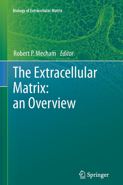 The Extracellular Matrix The Extracellular Matrix
