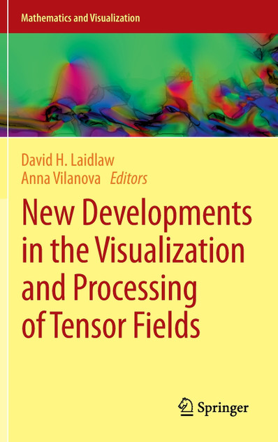 New Developments in the Visualization and Processing of Tensor Fields