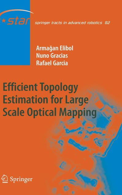 Efficient Topology Estimation for Large Scale Optical Mapping