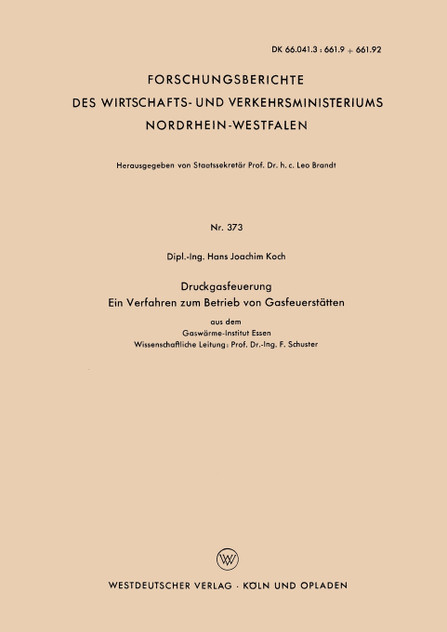 Druckgasfeuerung Ein Verfahren Zum Betrieb Von Gasfeuerstatten