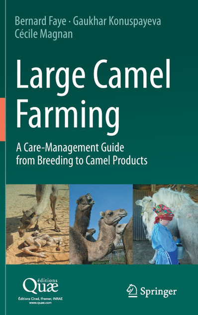 Large Camel Farming