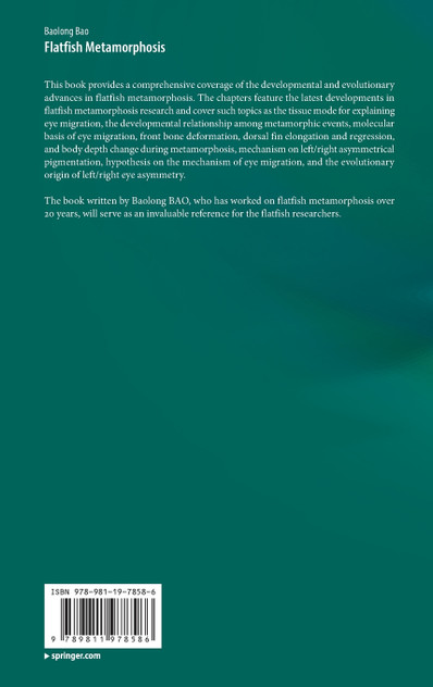 Flatfish Metamorphosis