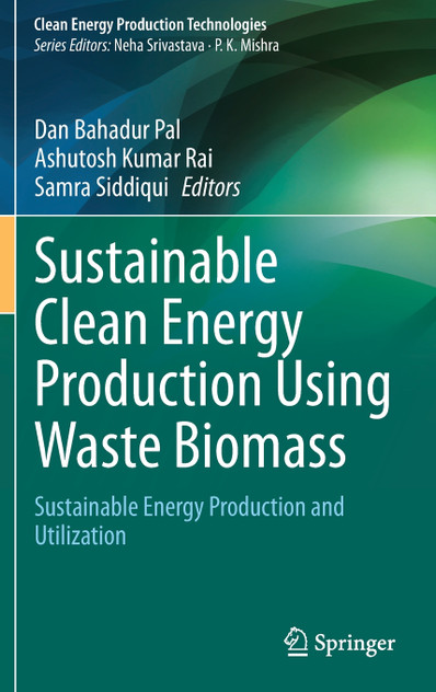 Sustainable Clean Energy Production Using Waste Biomass
