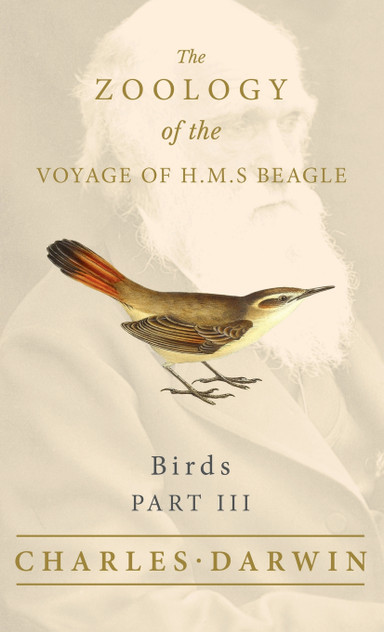 Birds - Part III - The Zoology of the Voyage of H.M.S Beagle Birds - Part III - The Zoology of the Voyage of H.M.S Beagle