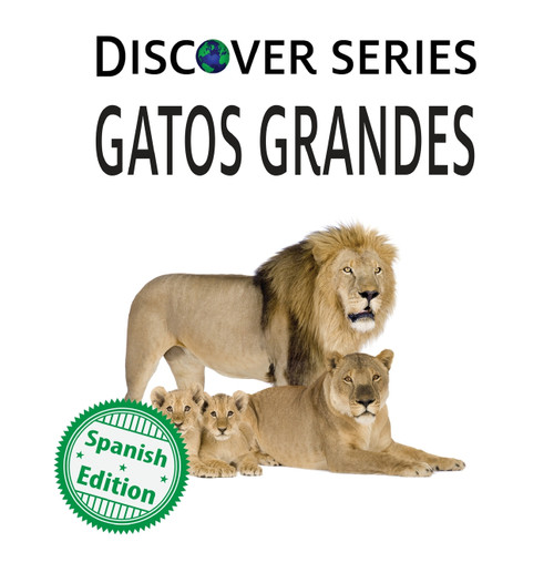 Gatos Grandes Gatos Grandes