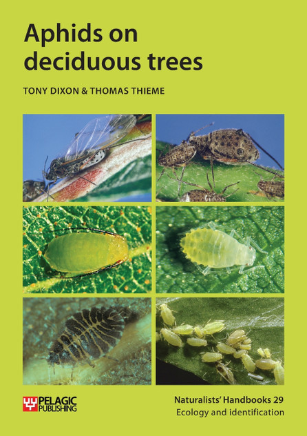 Aphids on deciduous trees Aphids on deciduous trees