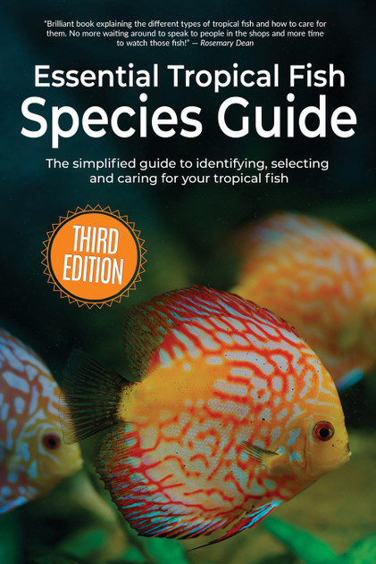 Essential Tropical Fish Species Guide Essential Tropical Fish Species Guide