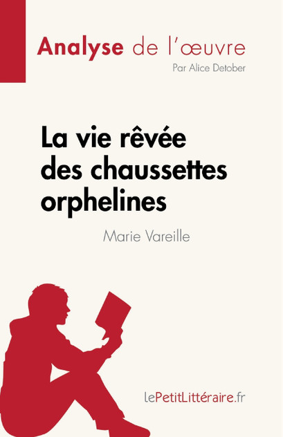 La vie rêvée des chaussettes orphelines de Marie Vareille (Analyse de l'œuvre)