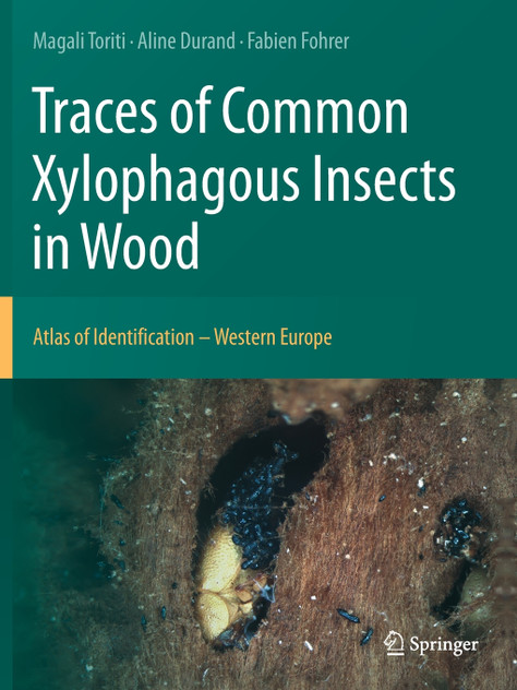 Traces of Common Xylophagous Insects in Wood