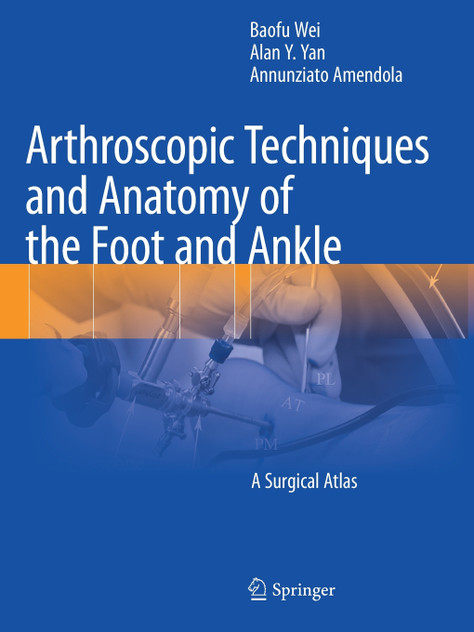 Arthroscopic Techniques and Anatomy of the Foot and Ankle