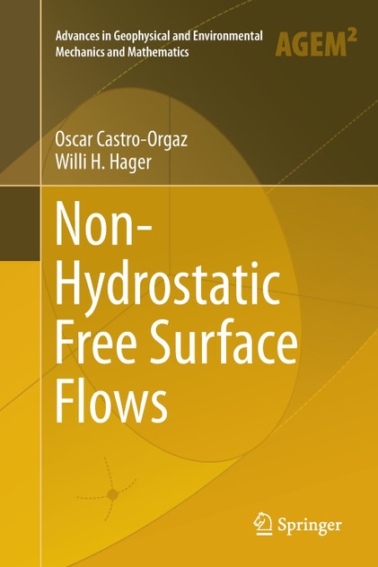Non-Hydrostatic Free Surface Flows