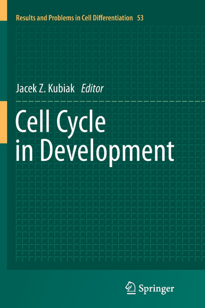 Cell Cycle in Development Cell Cycle in Development