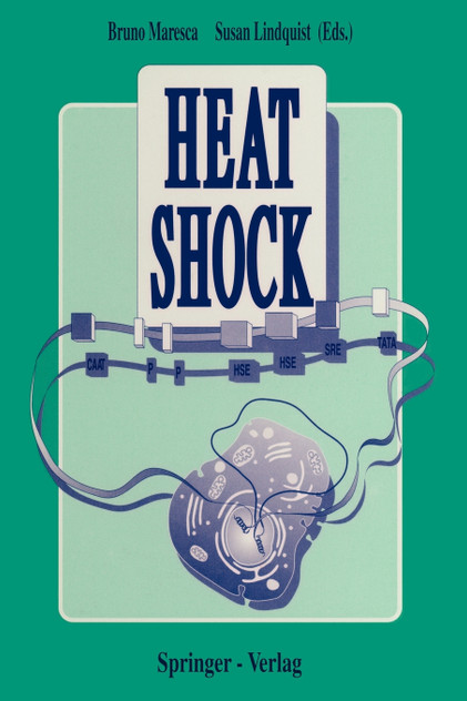 Heat Shock Heat Shock