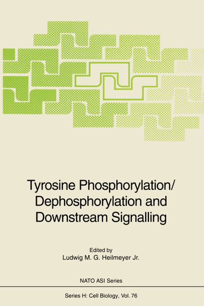 Tyrosine Phosphorylation/Dephosphorylation and Downstream Signalling