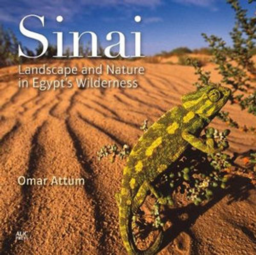 Sinai Sinai
